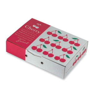 yK{zڔ L-2520FS 400g FS 179.5×257×56mm 1P[X100 }jpbP[W