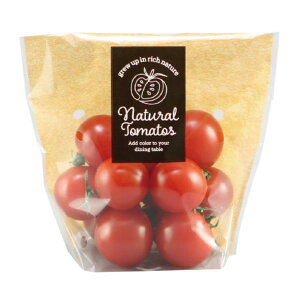 e[vtK[bg 40TGP-150 i` 6H t ~jg}g150gp 130×120+40mm 1P[X8000 406701 Ma