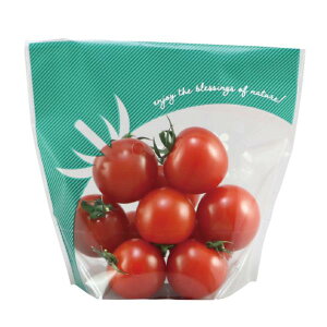 e[vtK[bg 40TGP-100 OCX 6H t ~jg}g100gp 120×110+40mm 1P[X10000 406703 Ma