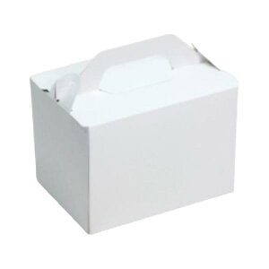 �y�����K�{�z�P�[�L�� 20-2341 �T�C�h�I�[�v���L�����[110 HS #5 150×105×110mm 1�P�[�X300���� ���}�j�p�b�P�[�W