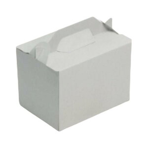 yK{zP[L 20-2376 TChI[vL[110 HSO[ #5 150×105×110mm 1P[X300 }jpbP[W