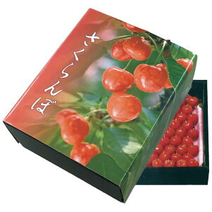 【屋号必須】さくらんぼ箱 さくらんぼ 小 205×165×75mm 1ケース90セット入り オリカ AA5632