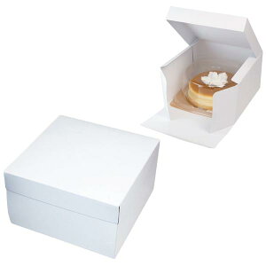 yK{zfR[VP[L 20-427 t[hAg5 190×191×110mm 1P[X100 }jpbP[W