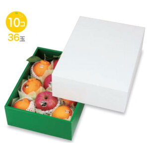 yK{zt[cpMtg LTO-500 OX gO[ 5 270×370×120mm 1P[X40 }jpbP[W