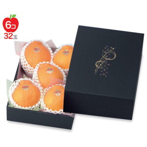 yK{z񂲔 L-2016 炫() 200×295×95(60)mm 1P[X50 }jpbP[W