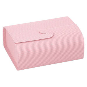 yK{z20-171 [P[X sN/ԕ 205×160×90mm 1P[X200 }jpbP[W mَqĂَqMtgp