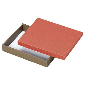 yK{z20-123 sPubN  328×248×53mm 1P[X100 }jpbP[W mَqĂَqMtgp