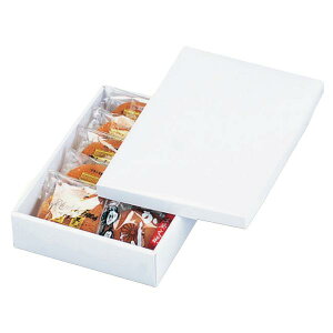 yK{z19-166 zCgMtg 10 200×287×63mm 1P[X100 }jpbP[W mَqĂَqMtgp