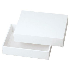yK{z20-255 Xm[zCg  280×220×65mm 1P[X100 }jpbP[W mَqĂَqMtgp