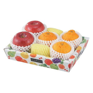 yK{zt[cpMtg L-2345 Vǂ ~j 262×182×50mm 1P[X100 }jpbP[W