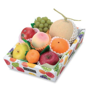 yK{zt[cpMtg L-2199 Vǂ  245×320×70mm 1P[X100 }jpbP[W