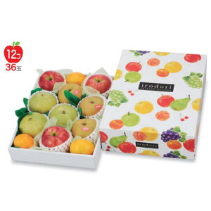 yK{zt[cpMtg L-2197 ǂpbg B 270×365×110(60)mm 1P[X40 }jpbP[W