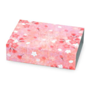 yK{z20-2532 HBMtg SpX[u XvO 1 258×188×69mm 1P[X50 }jpbP[W mَqĂَqMtgp