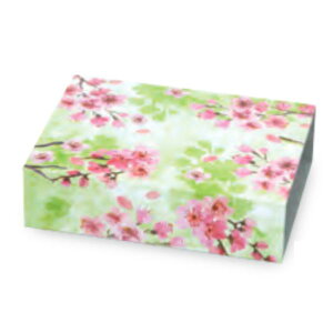 yK{z20-2540 HBMtg SpX[u XvO 2 258×188×69mm 1P[X50 }jpbP[W mَqĂَqMtgp