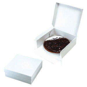 yK{zo[N[wp 20-436W J[XNGA180 zCg 186×186×65.5mm 1P[X100 }jpbP[W