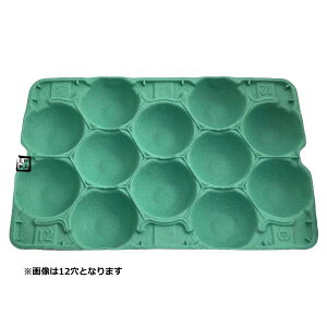【屋号必須】モウルドトレイ 033087 梨 5K用 7H 緑 460×305mm 1ケース50枚入 日本モウルド工業 フルーツ用トレー なしトレー