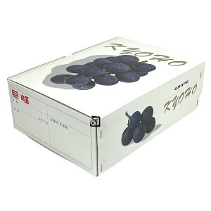 Ԃǂ 2K A-F 285×210×100mm 1P[X50 FY tN[