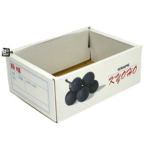 Ԃǂ 1K OP-F 220×153×86mm 1P[X100 FY tN[