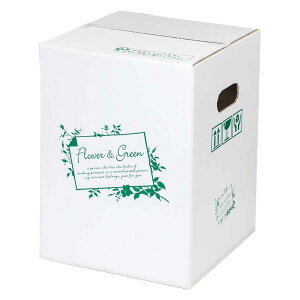 yK{zt[P[X F-500W FGzCg 80TCY 240×240×320mm 1P[X50 ԗp z t[&O[