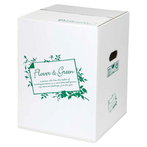 yK{zt[P[X F-501W FGzCg 100TCY(L) 300×300×400mm 1P[X40 ԗp z t[&O[