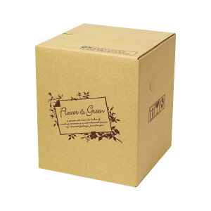 yK{zt[P[X F-514 t[&O[ 60TCY 60cmTCY 185×185×220mm 1P[X80 ԗp z