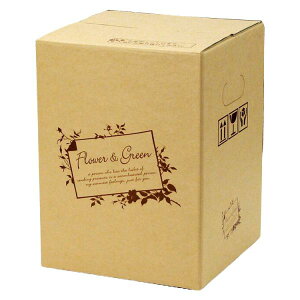 yK{zt[P[X F-500 t[&O[ 80 80cmTCY 240×240×320mm 1P[X50 ԗp z