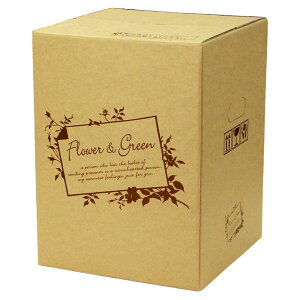 yK{zt[P[X F-501 t[&O[ 100 100cmTCY 300×300×400mm 1P[X40 ԗp z