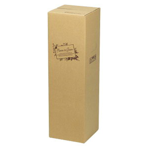 yK{zt[P[X F-531 t[&O[ 100TCY(2H) 100cmTCY 185×185×600mm 1P[X50 ԗp z