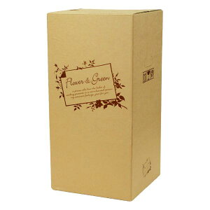 yK{zt[P[X F-502 t[&O[ 120H 120cmTCY 300×300×600mm 1P[X30 ԗp z