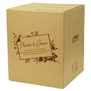 yK{zt[P[X F-526 t[&O[ 140TCY(L) 140cmTCY 450×450×500mm 1P[X20 ԗp z