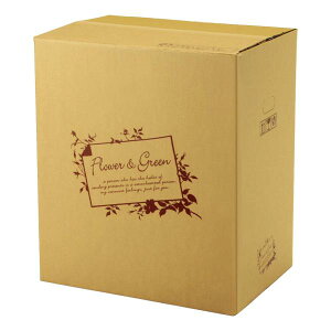 yK{zt[P[X F-515 t[&O[ 140TCY(A) 140cmTCY 500×300×600mm 1P[X20 ԗp z