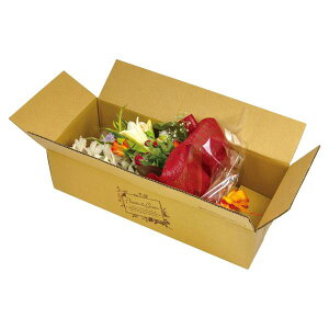 yK{zt[P[X F-534 ԑBOX 100TCY 100cmTCY 600×250×150mm 1P[X50 ԗp z