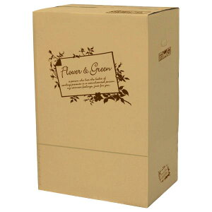 yK{zt[P[X F-512 t[&O[ Ӓ M 650×450×970mm 1P[X8 ԗp z J^Cv