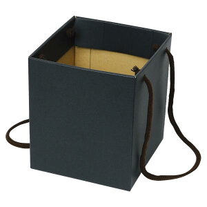 yK{zt[P[X F-393 XNGABOX 5 ubN 167×167×168mm 1P[X100 ԗp