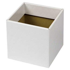 yK{zt[P[X F-437 LeBOXNGA ^bNzCg 5 167×167×168mm 1P[X100 ԗp