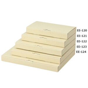 yK{zpz EE-121 pMtg 3cm 60TCY 265×170×30mm 1P[X200 }jpbP[W