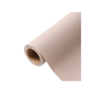 yK{zԗp bsOy[p[ p 31 Thx[W 65cm×15m 1{ 336741  PARIS