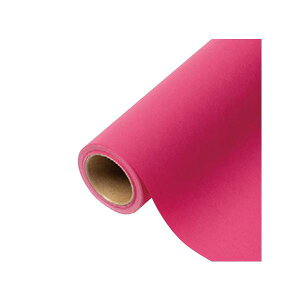 yK{zԗp bsOy[p[ p 42 t{[Y 65cm×15m 1{ 336422  PARIS