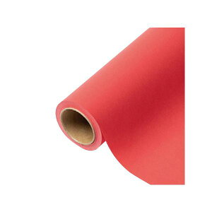 yK{zԗp bsOy[p[ p 43 WFj 65cm×15m 1{ 336423  PARIS