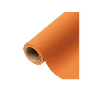 yK{zԗp bsOy[p[ p 44 IW[V[ 65cm×15m 1{ 336424  PARIS