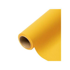 yK{zԗp bsOy[p[ p 45 Wl 65cm×15m 1{ 336425  PARIS