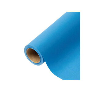 yK{zԗp bsOy[p[ p 46 j[ 65cm×15m 1{ 336426  PARIS