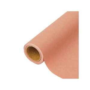 yK{zԗp bsOy[p[ p 51 s[`N[ 65cm×15m 1P[X20{ 336431  PARIS