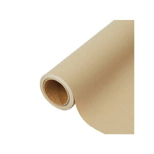 yK{zԗp bsOy[p[ p 54 XpCXS[h 65cm×15m 1{ 336434  PARIS