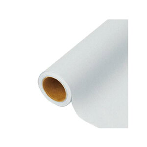 yK{zԗp bsOy[p[ p 59 CNvVbh 65cm×15m 1{ 336439  PARIS