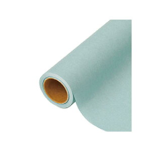 yK{zԗp bsOy[p[ p 60 gNCu[ 65cm×15m 1{ 336440  PARIS