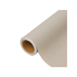 yK{zԗp bsOy[p[ p 63 O[WAxj[ 65cm×15m 1{ 336443  PARIS