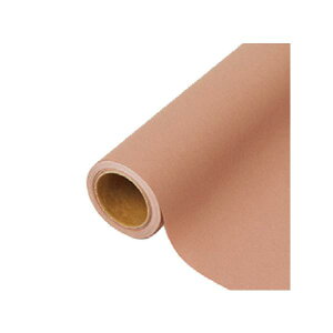 yK{zԗp bsOy[p[ p 66 tHNV[uE 65cm×15m 1{ 336446  PARIS