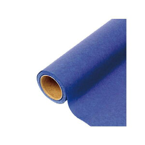 yK{zԗp bsOy[p[ R쑐 09  80cm×20m 1P[X20{ 331539 