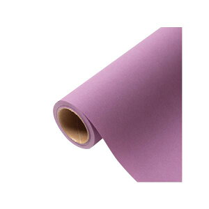 yK{zԗp bsOy[p[ p 08 uCG[ 65cm×15m 1{ 336718  PARIS